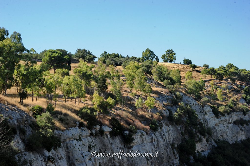 28.7.2015 CAVA CAROSELLO CON GINA (15).jpg